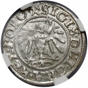 Zygmunt I Stary, Szeląg Gdańsk 1539 - rozeta - piękny