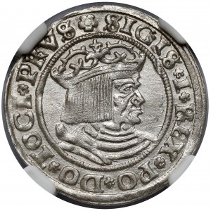 Zygmunt I Stary, Grosz Toruń 1530 - w lewo