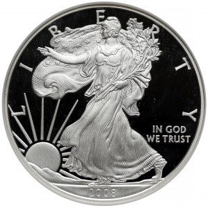 USA, Dolar 2008-W, West Point - Walking Liberty