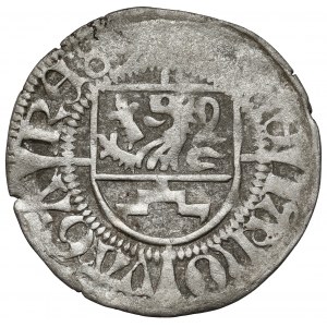 Pomorze, Bogusław X, Szeląg Gardziec (Garz)