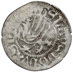 Pomorze, Bogusław X, Szeląg Gardziec (Garz)