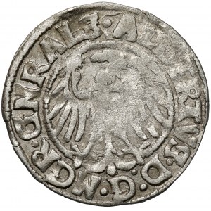 Zakon Krzyżacki, Albrecht Hohenzollern, Grosz Królewiec 1515 - b.rzadka odmiana