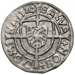 Zakon Krzyżacki, Albrecht Hohenzollern, Grosz Królewiec 1524 - piękny