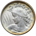Kobieta i kłosy 2 złote 1924 Filadelfia - ODWROTKA