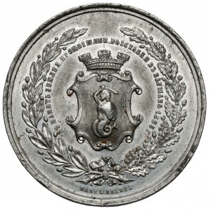 Medal, Wystawa Rolniczo-Przemysłowa w Warszawie 1885