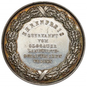 Śląsk, Głogów, Medal nagrodowy Związek Rolniczy