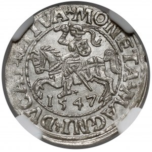 Zygmunt II August, Półgrosz Wilno 1547