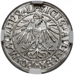 Zygmunt II August, Półgrosz Wilno 1548
