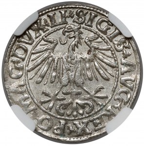 Zygmunt II August, Półgrosz Wilno 1549