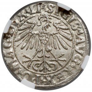 Zygmunt II August, Półgrosz Wilno 1550