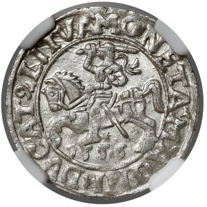 Zygmunt II August, Półgrosz Wilno 1556
