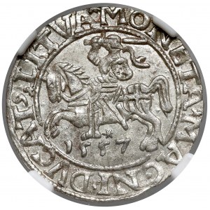 Zygmunt II August, Półgrosz Wilno 1557