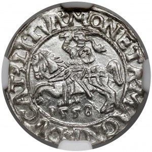 Zygmunt II August, Półgrosz Wilno 1558