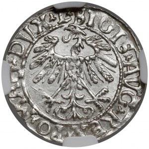 Zygmunt II August, Półgrosz Wilno 1558