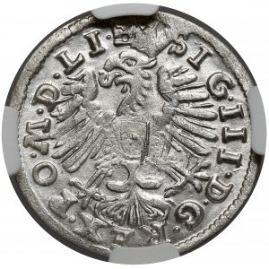 Zygmunt III Waza, Grosz Wilno 1608 - piękny