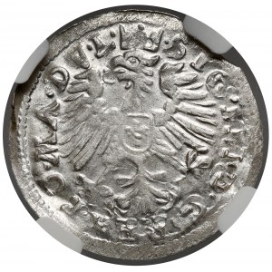 Zygmunt III Waza, Grosz Wilno 1609