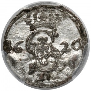 Zygmunt III Waza, Dwudenar Wilno 1620