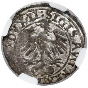 Zygmunt II August, Półgrosz Wilno 1556 - falsyfikat z epoki