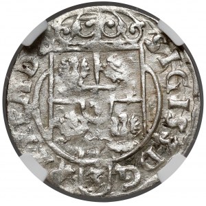 Zygmunt III Waza, Półtorak Bydgoszcz 1623