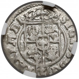 Zygmunt III Waza, Półtorak Bydgoszcz 1624