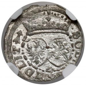 Zygmunt III Waza, Szeląg Wilno 1617