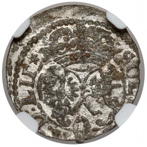 Zygmunt III Waza, Szeląg Wilno 1618 - Wadwicz