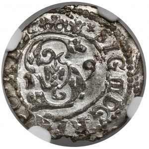Zygmunt III Waza, Szeląg Wilno 1619
