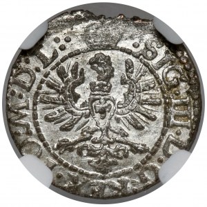 Zygmunt III Waza, Szeląg Wilno 1623 - gwiazdki - PIĘKNY