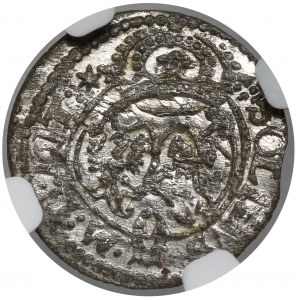 Zygmunt III Waza, Szeląg Wilno 1623