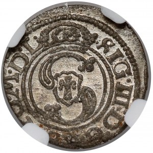 Zygmunt III Waza, Szeląg Wilno 1624