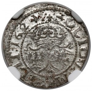 Zygmunt III Waza, Szeląg Wilno 1624
