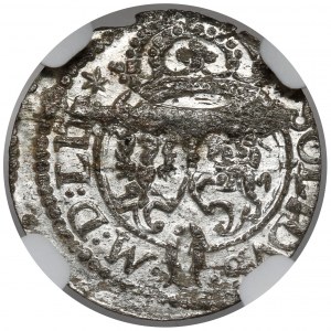 Zygmunt III Waza, Szeląg Wilno 1623