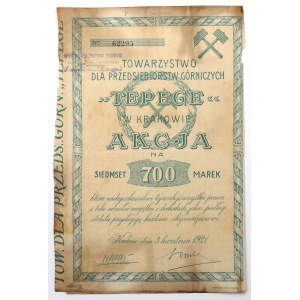 TEPEGE Tow. dla Przedsiębiorstw Górniczych, 700 mkp 1921 - rzadka