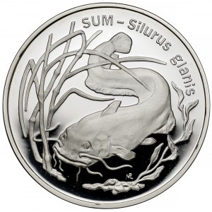 20 złotych 1995 Sum