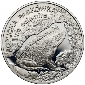 20 złotych 1998 Ropucha Paskówka