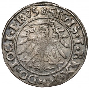 Zygmunt I Stary, Grosz Elbląg 1534 - ex. Kałkowski