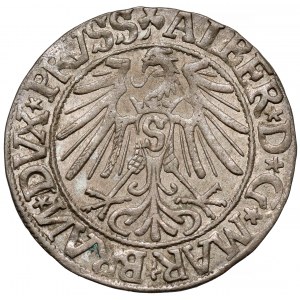 Prusy, Albrecht Hohenzollern, Grosz Królewiec 1544