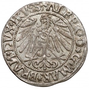 Prusy, Albrecht Hohenzollern, Grosz Królewiec 1545