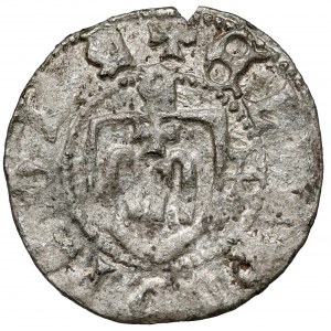 Hospodarstwo Mołdawskie, Eliasz I (1432-1436) Grosz