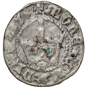 Władysław II Jagiełło, Półgrosz Kraków - typ 1 - litera P