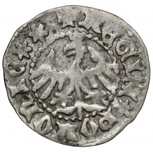 Władysław II Jagiełło, Półgrosz Kraków - typ 1 - litera P