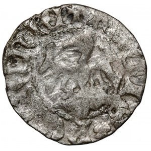 Władysław II Jagiełło, Półgrosz Kraków - typ 12 - bez znaku