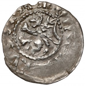 Władysław II Jagiełło, Kwartnik ruski, Lwów