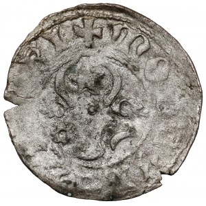 Hospodarstwo Mołdawskie, Aleksander I (1400-32), Dwugrosz