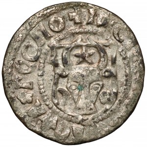 Hospodarstwo Mołdawskie, Stefan IV (1517-1527), Grosz