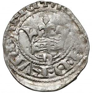 Węgry, Maria (1385-1395) Denar