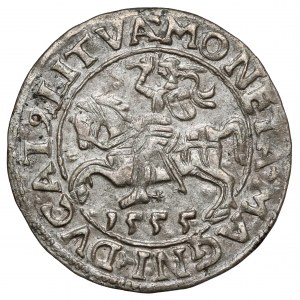 Zygmunt II August, Półgrosz Wilno 1555