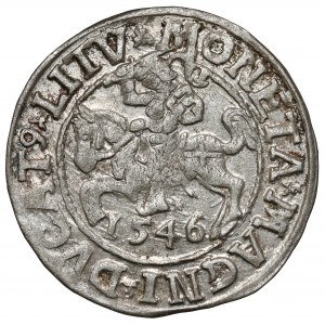 Zygmunt II August, Półgrosz Wilno 1546 - późny
