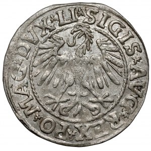 Zygmunt II August, Półgrosz Wilno 1546 - późny