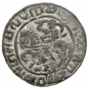 Zygmunt II August, Półgrosz Wilno - analfabetyczny - falsyfikat z epoki